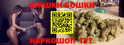 индика Рыбинск