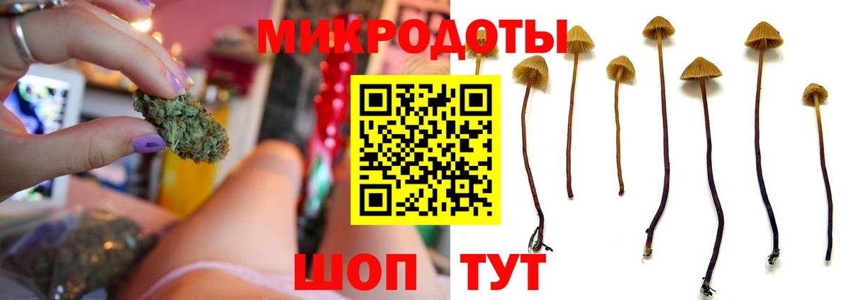 где купить наркоту  Вход с VPN  Солнечногорск  Псилоцибиновые грибы мицелий  Галлюциногенные грибы GOLDEN TEACHER 