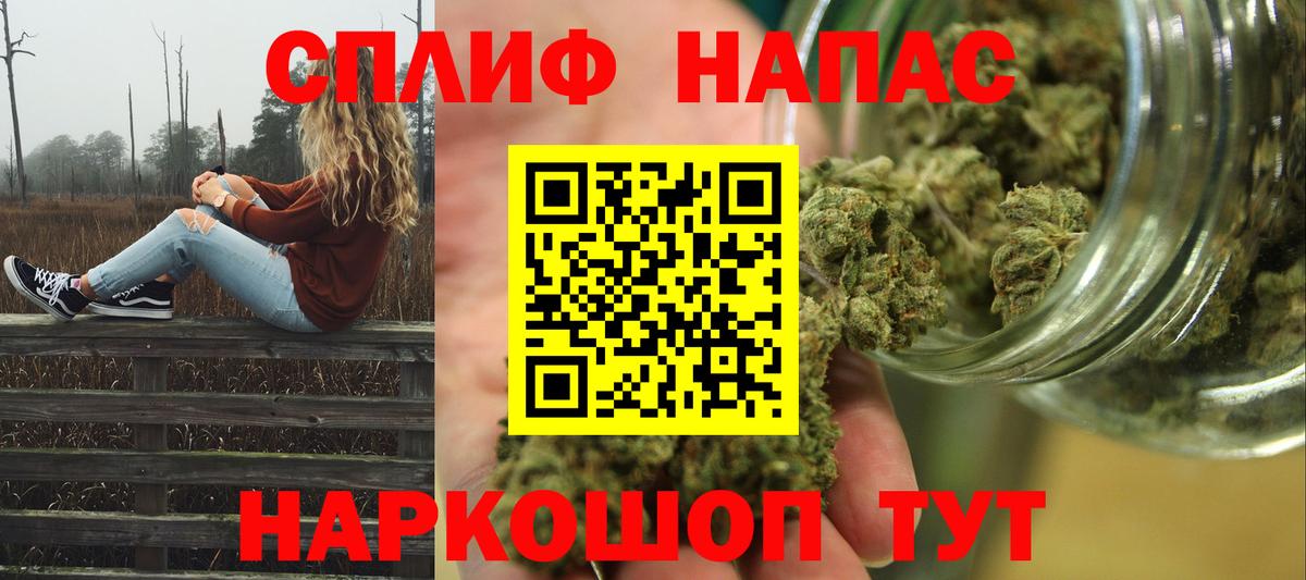 Бошки марихуана MAZAR Солнечногорск