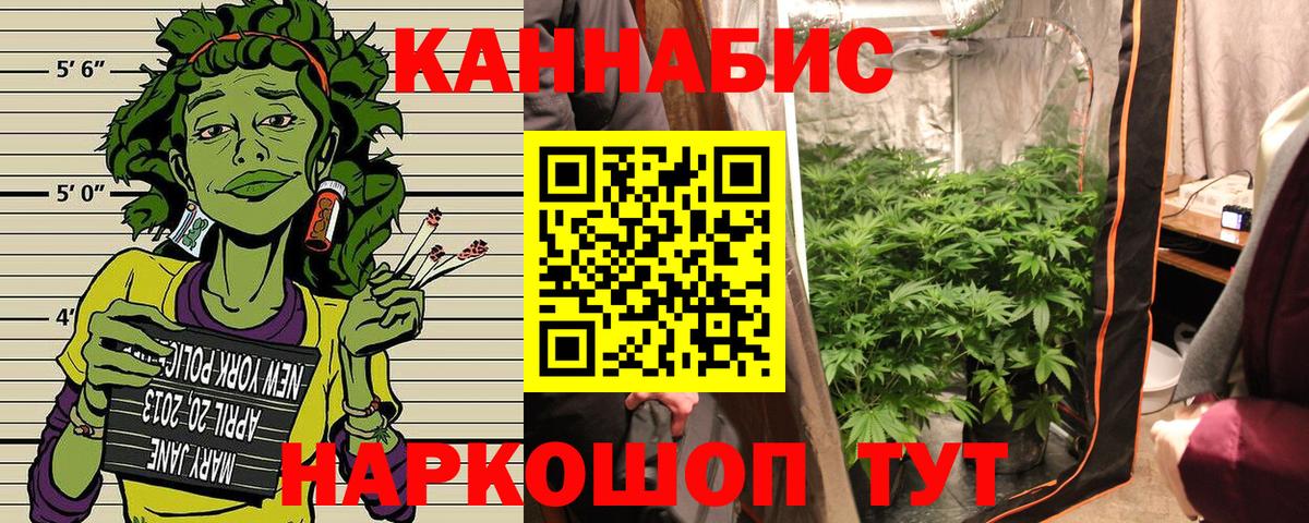 Марихуана индика  Марихуана план  Шишки марихуана SATIVA & INDICA  Вход с VPN  Солнечногорск 